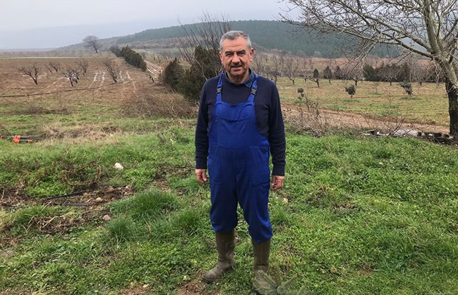 Burhanlar Çiftliği