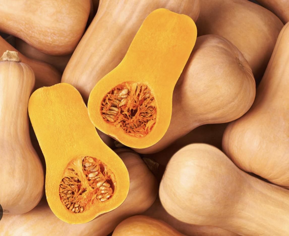 Organik butternut squash (uzun bal kabağı)
